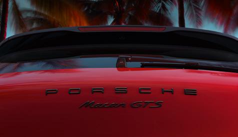 Sideblades. The sideblades are as much part of the Macan as the Porsche Crest.