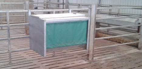 separate meal Bull Feeder Available gate hanging or free standing