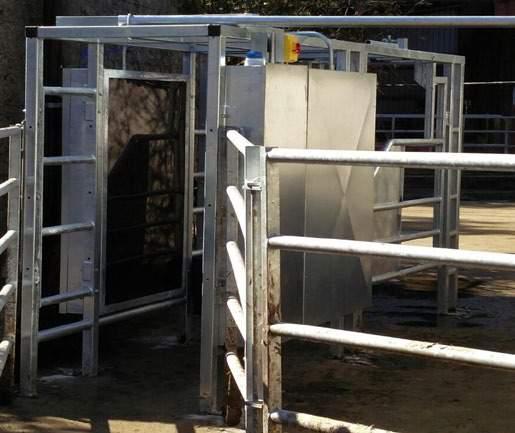 ODE Automatic Cattle Drafter The drafter itself is a standalone unit and was designed and manufactured by O Donnell Eng in Emly, Co. Tipperary.