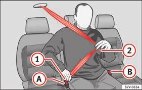 66 The seat belt itself, or a loose seat belt, can cause severe injuries if the belt moves from hard areas of the body to soft areas (e.g. the stomach).
