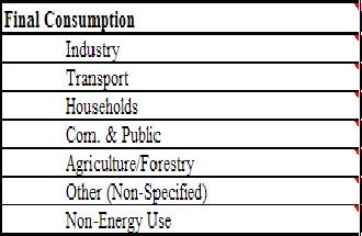 Final Consumption Oil used for international transport, regardless of the sector Breakdown International/domestic aviation is very important for CO 2 calculations Always report negative numbers here