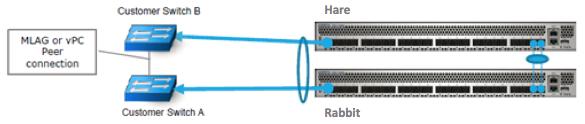 Here is an example f a recmmended switch cnfiguratin, with ne LACP between Hare and Rabbit uplinks (equivalent t the custmer side), and tw MLAG cnfiguratins, ne between the