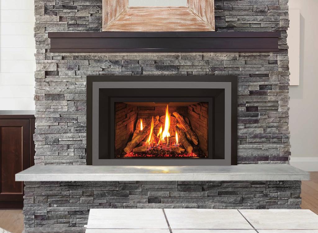 EX35 LARGE GAS INSERT EX35 Fireplace Insert Contemporary,