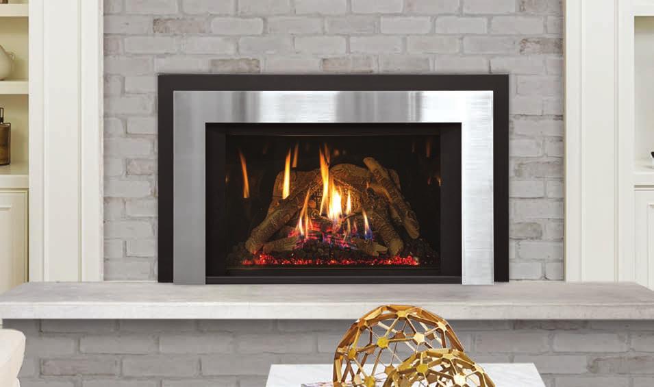 Borderview Plus Surround Panel, Black Enameled Liner, and