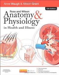 Anatomy & Physiology in Health & Illness