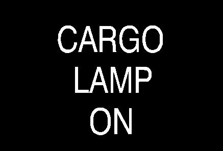 CARGO LAMP ON when the cargo lamp is turned on and the ignition key is turned to RUN.
