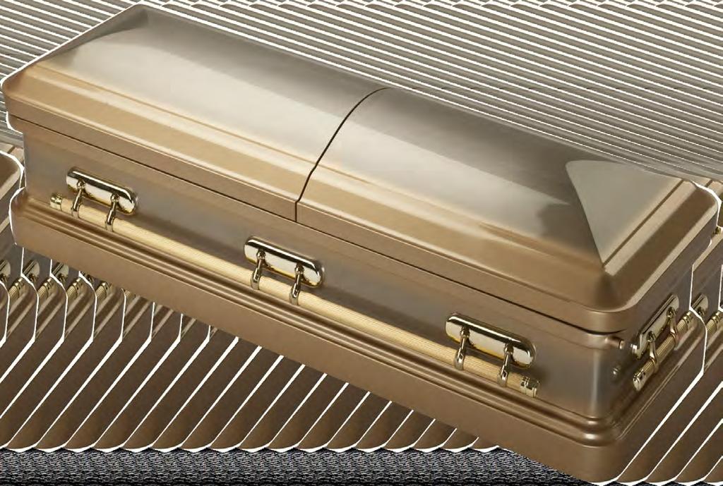 Roman Gold 18ga Steel casket. Brushed gold finish.