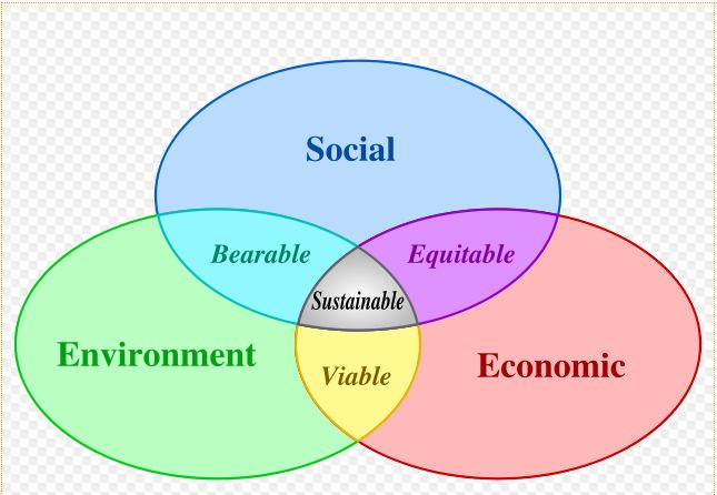 What does Sustainability mean?