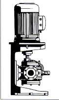 Design Double-gear pump, self-priming (1), with in line suction and discharge. Pump casing with adjustable automatic relief bypass valve.