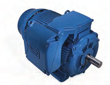 W22 Severe Duty TEFC Severe Duty High performance with maximum energy efficiency is the goal of the new WEG electric motor.