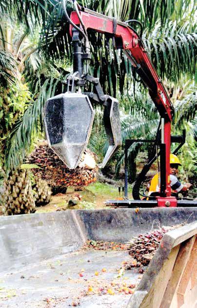 50 Boustead Holdings Berhad Annual Report 2016 Plantation Division Our 10 palm oil mills processed a total of 1,012,000 MT FFB, of which 85% comprised fruits from our own estates.