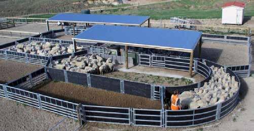 2 m PHONE US NOW PICK A DEAL THAT SUITS YOU - for Hdale Sheep Handling Systems *On purchases over $12,500 Valued at $1,415 Free W610 Gallagher Indicator