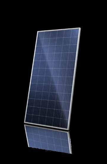 polycrystalline Mono: 335 345 W Poly: 325 340 W Voltage: 1000 V Dimensions: 77.5 39 0.2 in / 1968 992 5.8 mm Weight: 60.6 lbs / 27.