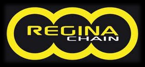 REGINA CHAINS Made In Italy For Over 90 Years All Regina Chains are gold in color and most models are stocked on 100ft rolls.