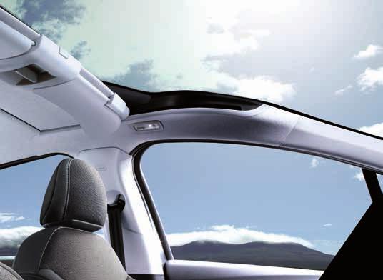 standard panoramic Zenith windscreen