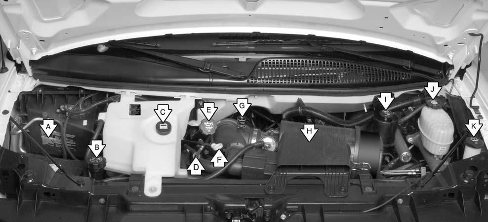 Engine Compartment Overview When you