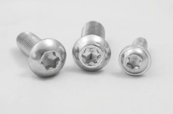 CORE SCREWS Cost effective and easy to use the special shape of the screw head produces a conductive connection between profiles.