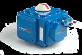 Actuation COMPACT actuator ESD system Interfaces Ordering code system Spring