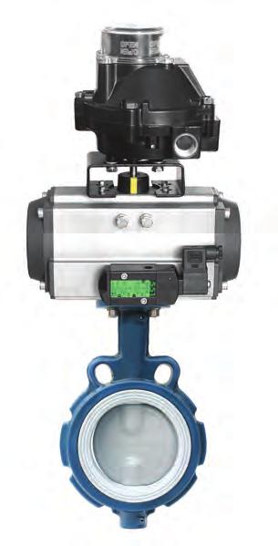 configuration for easy direct mount onto a valve or