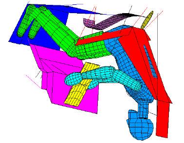 Numerical Optimization of Crash Pulses 11 Figure 3. Dummy positioning within the interior with restraint systems.