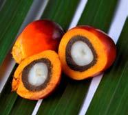 Palm Oil as a Value