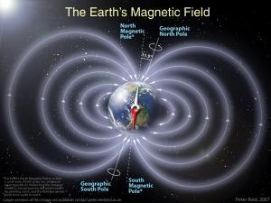 Magnetic Lines of Flux The earth is