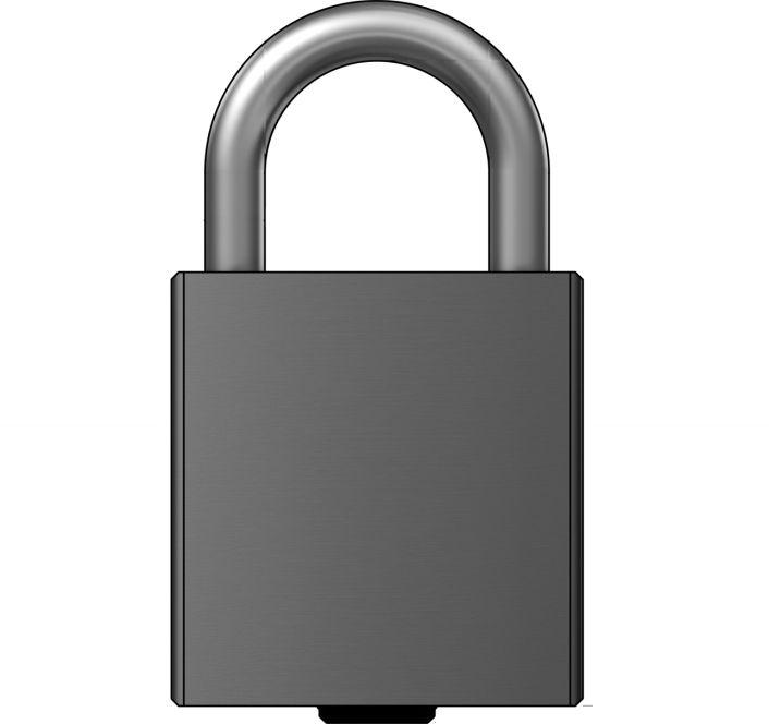 Product overview Padlock A padlock can be integrated into the locking system