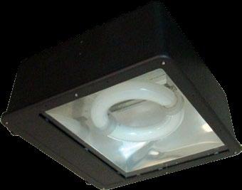 INDUCTION SHOEBOX PLi Induction Shoebox Fixture offers many advantages over traditional HID fixtures.