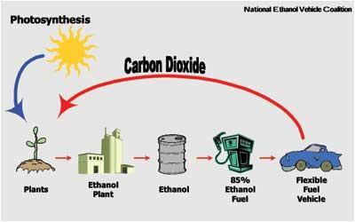 Ethanol Fuel Effects o o o o Reduction in various gaseous emissions o Variable THC and NMHC Lower tailpipe