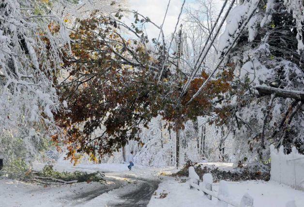 Figure 6 damaged distribution lines due to heavy snowfall [10] Rural areas in Jammu and Kashmir are also unmetered thus huge amount of power is stolen particularly during winters which are lean