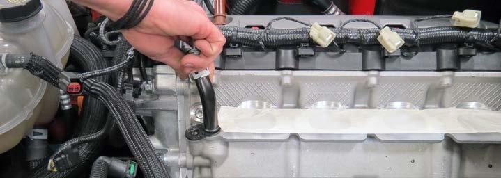 Remove the passenger side heater hose fitting with an 8mm socket.