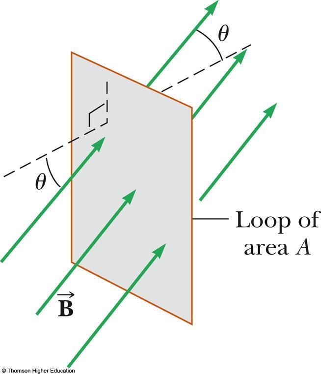 Faraday s Law Example Assume a loop enclosing an area A lies in a uniform magnetic field B