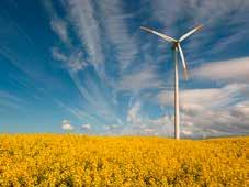 PLANTO Environmentally friendly lubricants 7 Energy industry Renewable energies such as wind power and rapidly biodegradable lubricants share a common background: preservation of the environment and