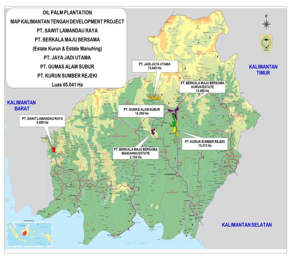 Plantation and Milling Oil Palm Cultivation Immature Plantation Assets We