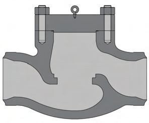 The overhanging weight of the plug can cause non-uniform wear of the trim parts and gland packing Valves on smaller piping and tubing may need to be mounted in Brackets.