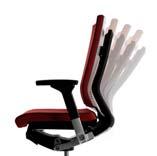 608 24" 1155~1231 45"~49" 390~466 151 4"~19" 576~732 23"~29" T55 T55 series Leather L096 Chair / Task Chair T55