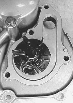 Remove the E-ring 5, impeller 6, and water pump body 7.