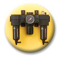 V alue-added Accessories and Pump accessories to enhance your pump performance: Surge Suppressors Our surge