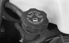 1. You can remove the radiator pressure cap when the cooling system, including the radiator pressure cap and upper radiator hose, is no longer hot.