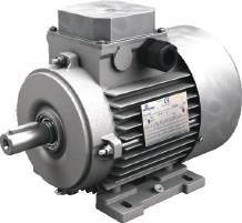 IEC lnduction Motor