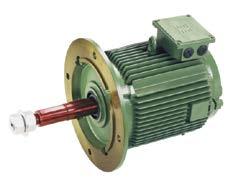 PRODUCT RANGE HIGH EFFICIENCY STANDARD MOTORS Frames : 56 to 355L Rating : 0.093 to 315.