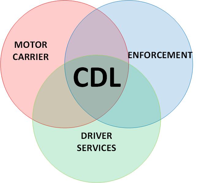 FINDING THE CDL SWEET SPOT * COMPLETE DRIVER FILES * * FEWER SAFETY VIOLATIONS * * LESS OUT OF SERVICE DRIVERS * * BETTER DRIVER SAFETY * * FEWER