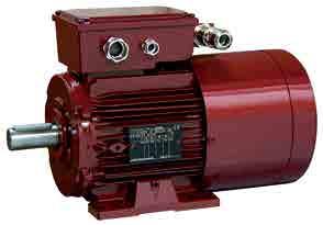 Introduction LSRPM motors Description of motors Description Materials Comments Housing LSRPM: Aluminum alloy - With integral or screw-on feet, or without feet - 4 or 6 fixing holes for housings with