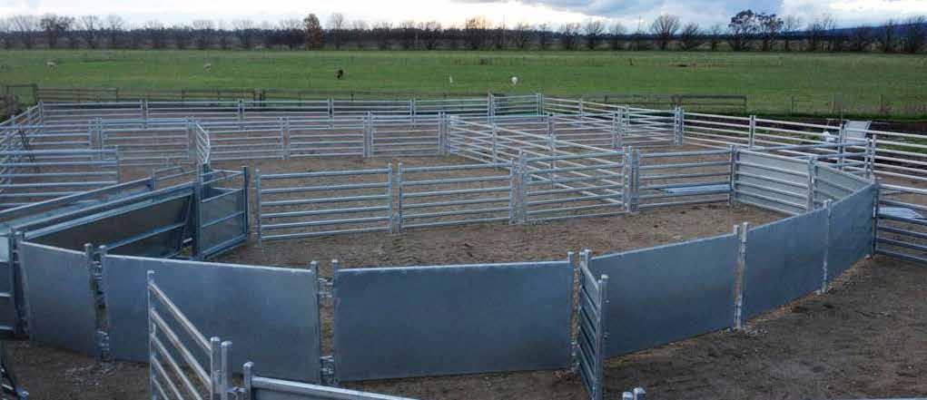 Specifications SHEEP BLIND PANELS Manufactured from Galvanised Steel Fully sheeted Designed to reduce distractions and improve the flow of stock 120g Cold Galvanised per metre 2