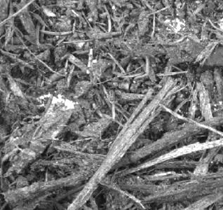 Scale 2: Fine Logging Residue
