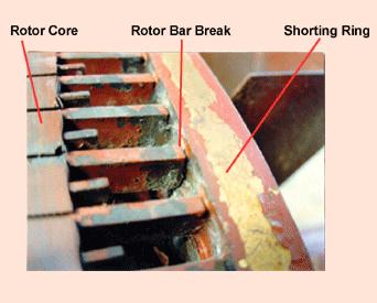 Rotor Damage Significance Percentage of failure less than 5%, but Broken Rotor Bars can Cause Sparking-Safety Hazard for Ex motors Healthy Bars carry more current- Further damage Torque & Speed