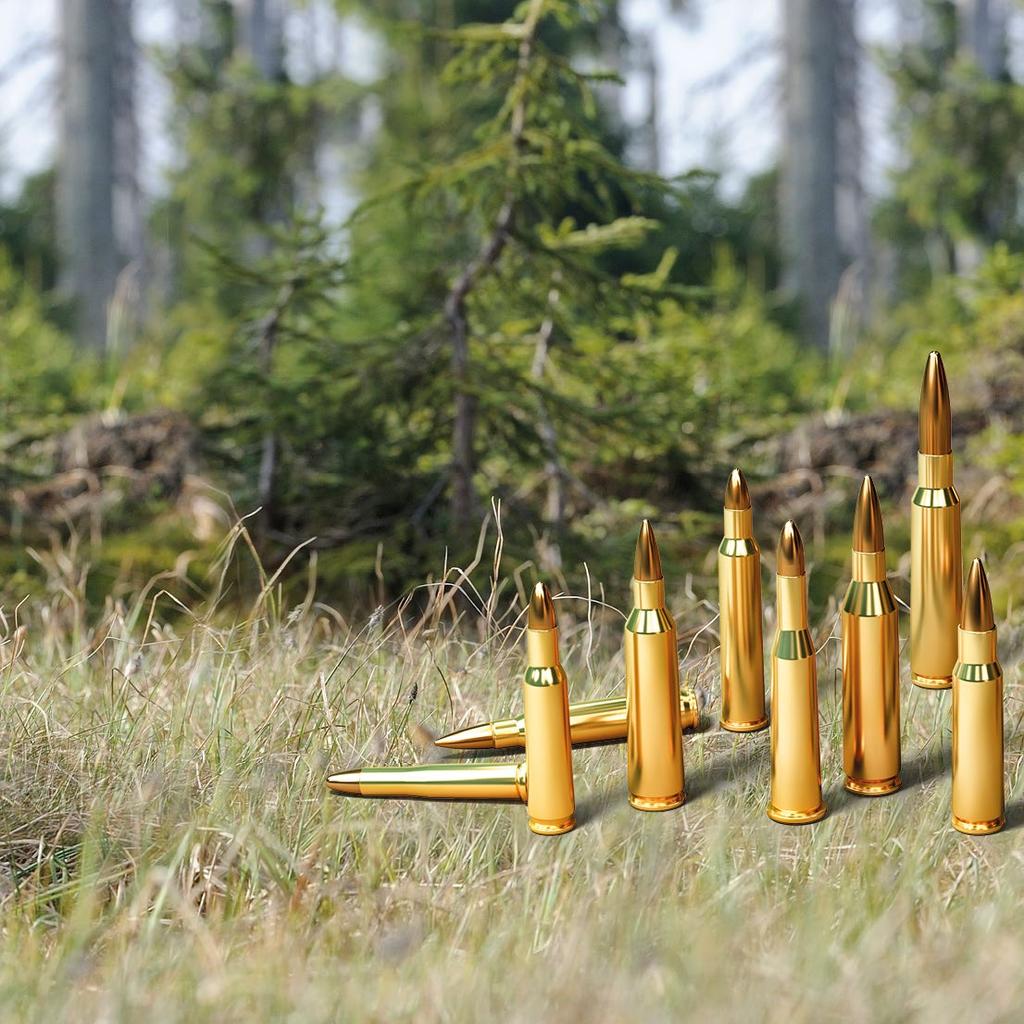 Rifle hunting ammunition with FMJ bullets 5.6 50 R MAGNUM 50 grs / 3.24 g 1030 m.s -1 / E 0 1719 J 6.5 55 SE 140 grs / 9.