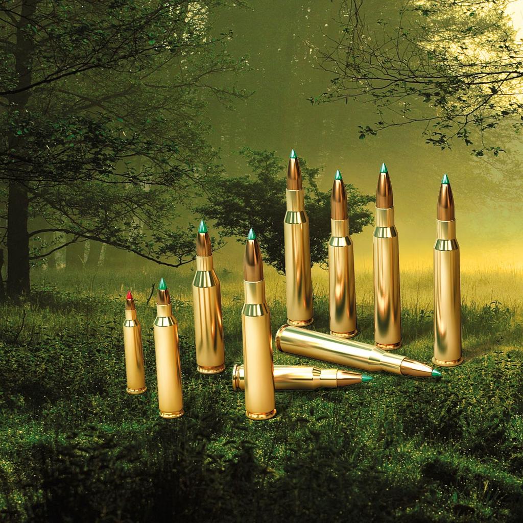 Rifle hunting ammunition with PTS bullets Hornady 204 RUGER 32 grs / 2.1 g 1258 m.s -1 / E 0 1661 J 7 57 162 grs / 10.5 g 765 m.s -1 / E 0 3072 J 270 WIN. 130 grs / 8.4 g 884 m.