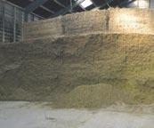 In this way mildew spots in the silage are avoided and thus bad quality silage is not made.