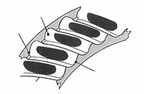 3 Hypoid Gear Contact Patterns Tooth contact pattern of the gear set 1. Coast (concave side) 2. Toe 3. Drive (convex side) 4.